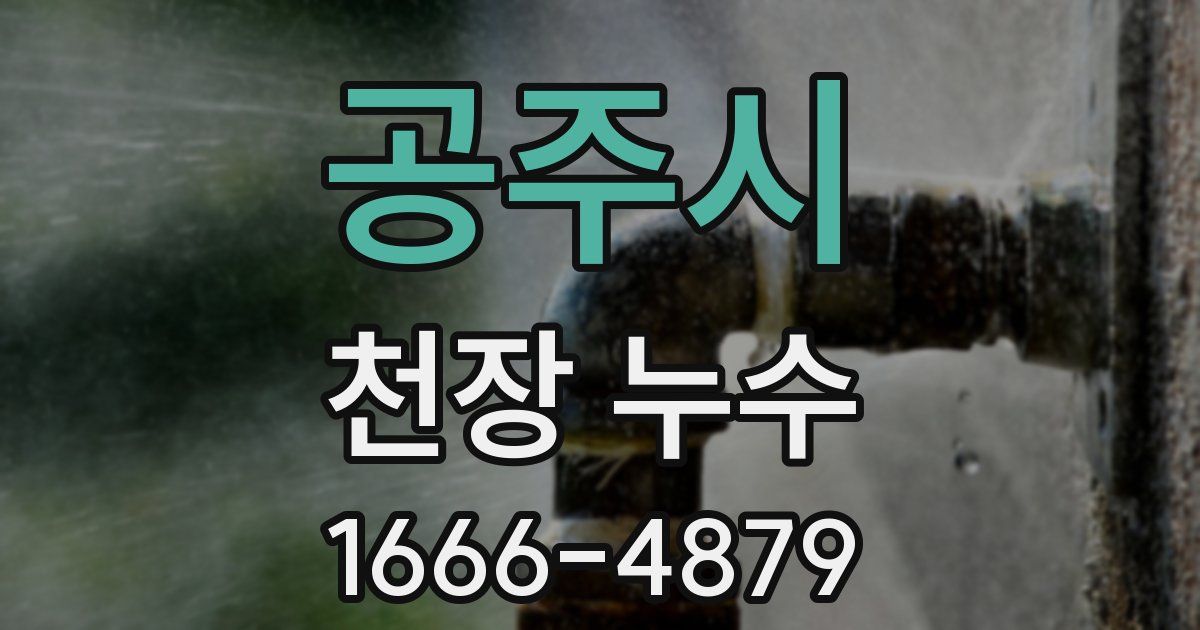 공주시 천장 누수