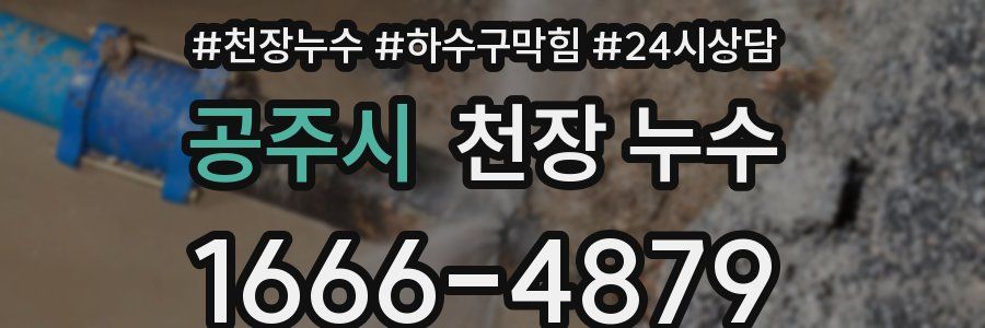 공주시 천장 누수