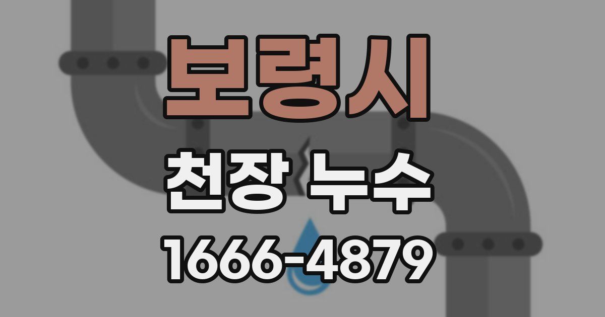 보령시 천장 누수