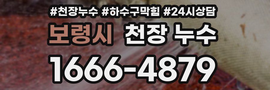 보령시 천장 누수