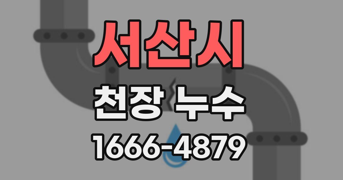 서산시 천장 누수