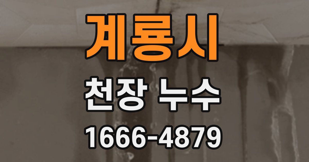 계룡시 천장 누수