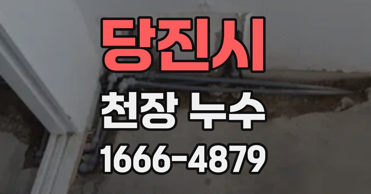 당진시 천장 누수