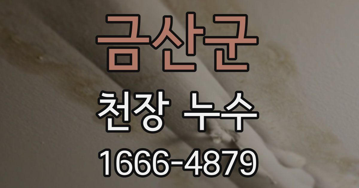 금산군 천장 누수