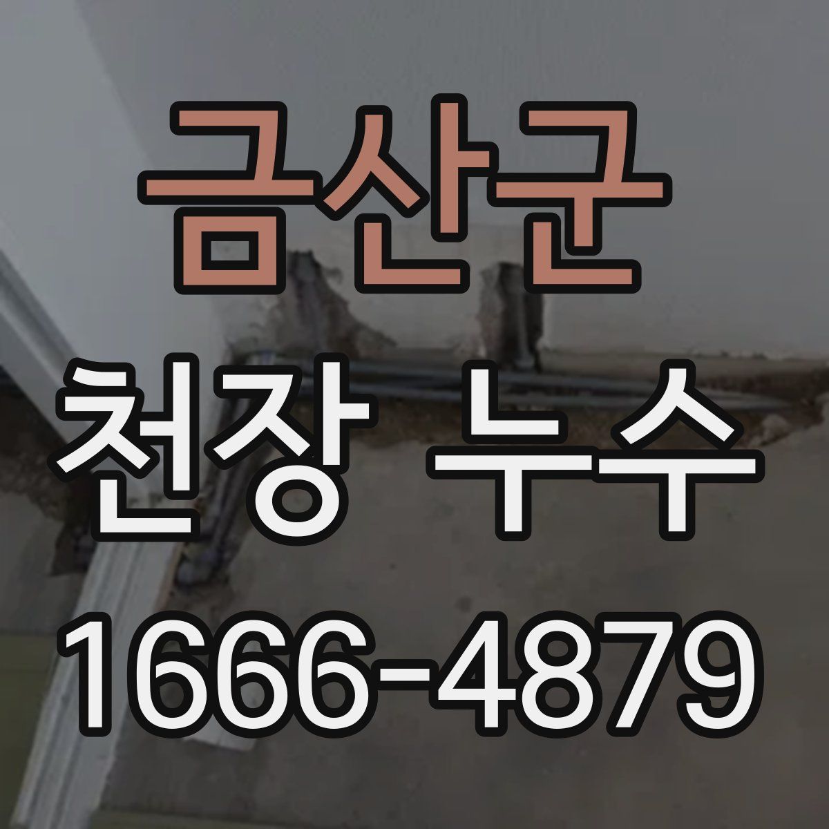 금산군 천장 누수