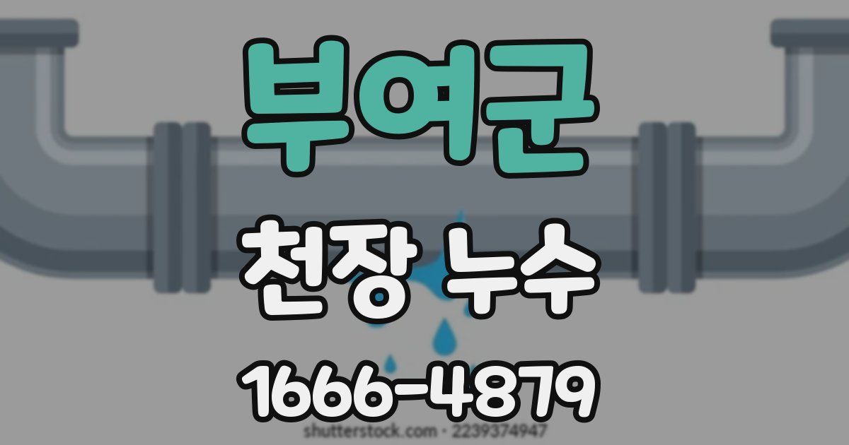 부여군 천장 누수