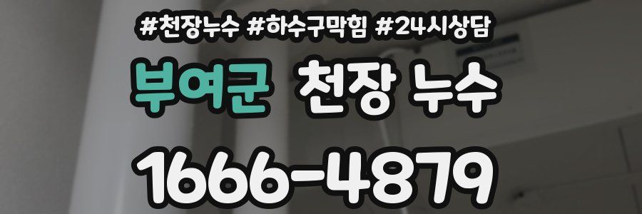 부여군 천장 누수