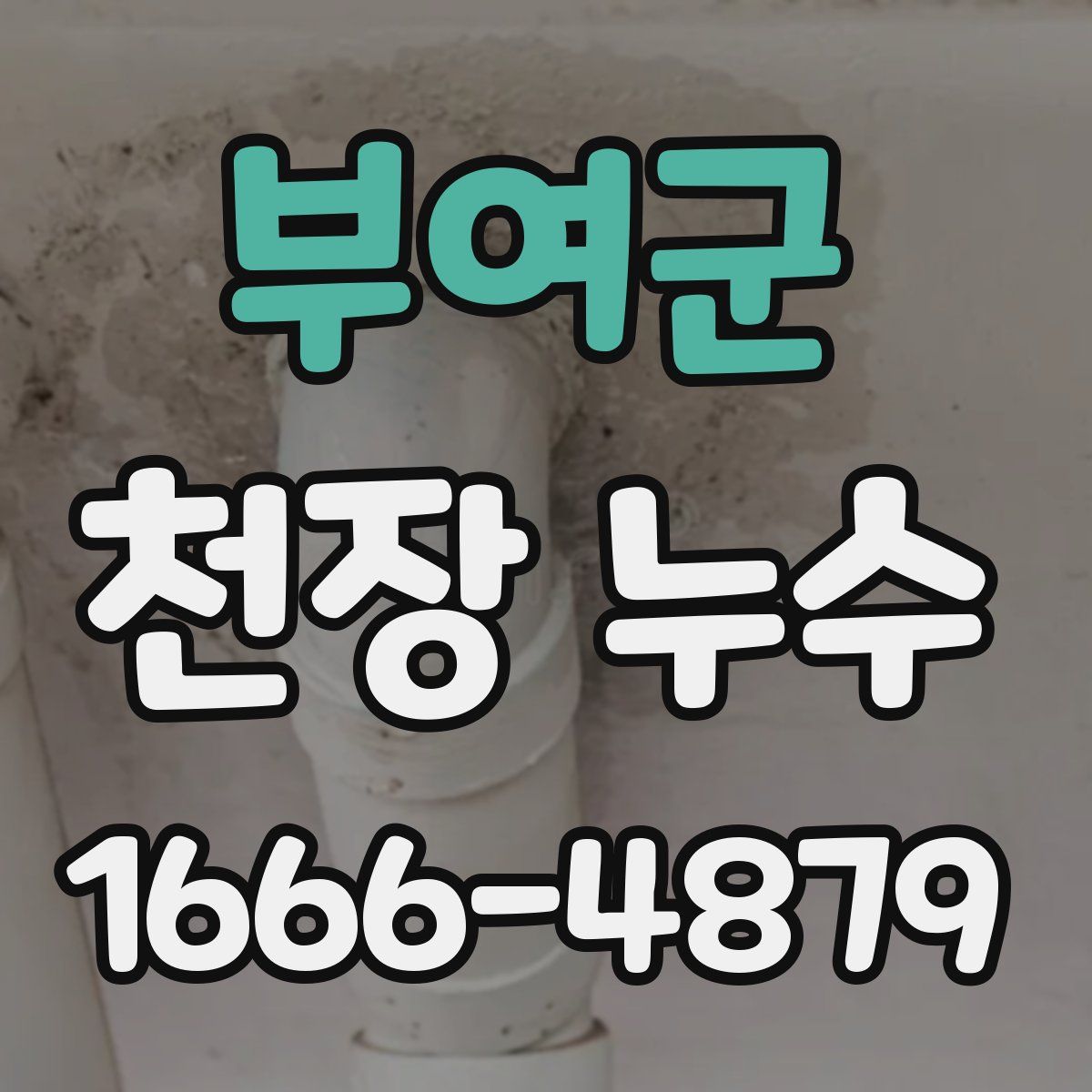 부여군 천장 누수