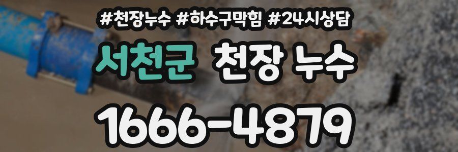 서천군 천장 누수