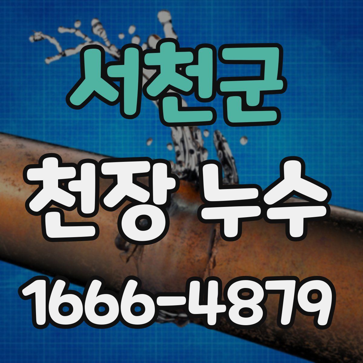 서천군 천장 누수