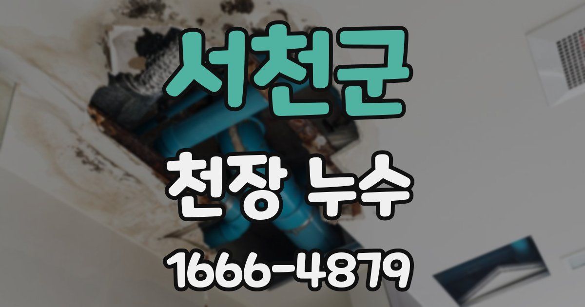 서천군 천장 누수