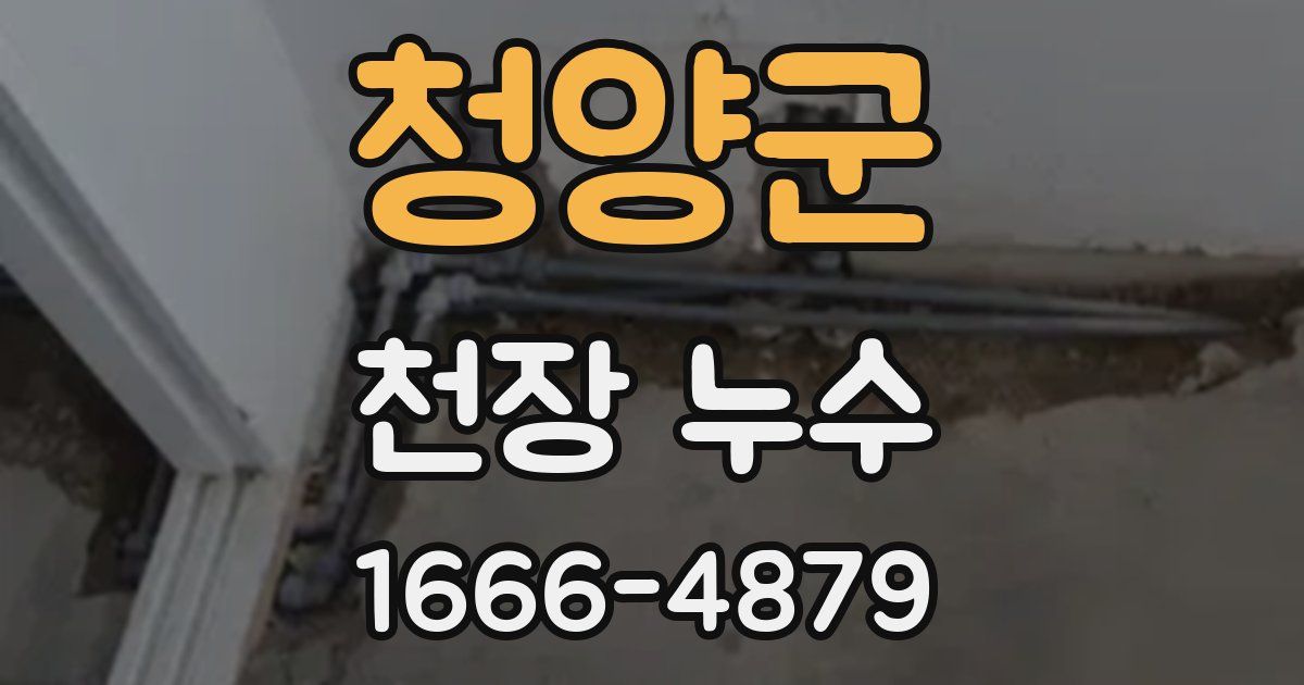 청양군 천장 누수