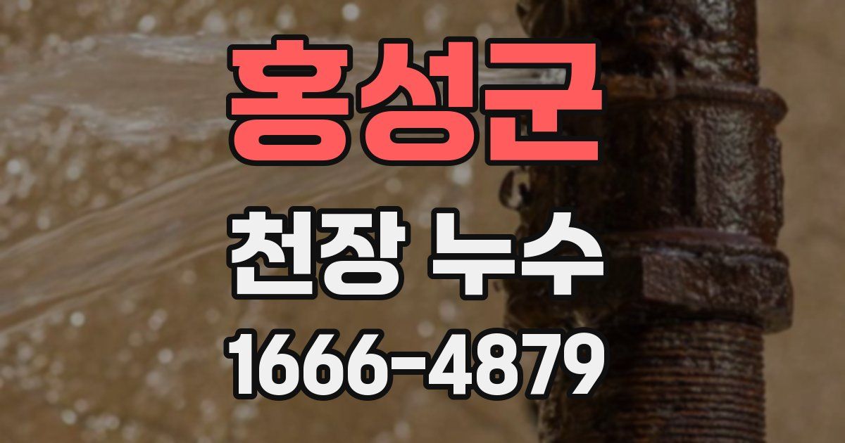 홍성군 천장 누수