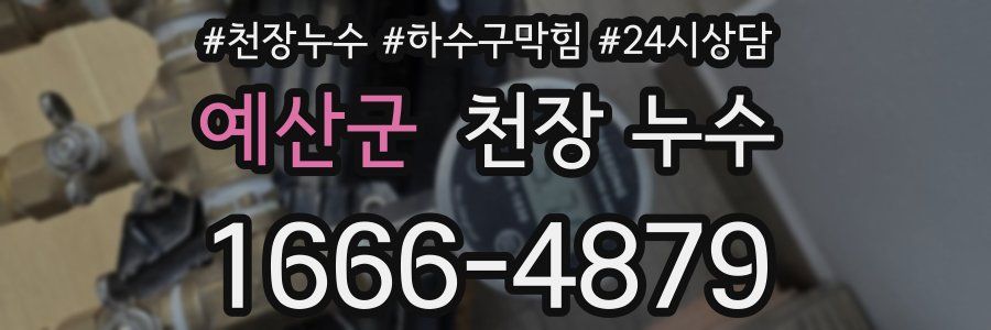 예산군 천장 누수