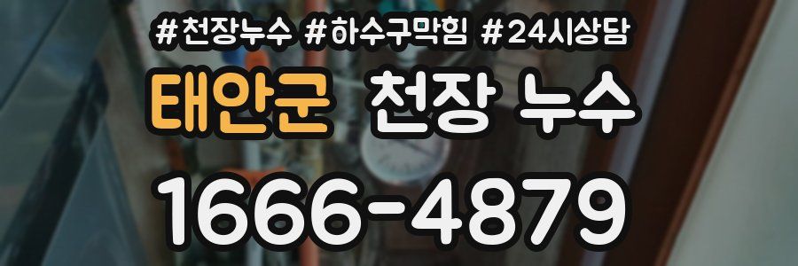 태안군 천장 누수