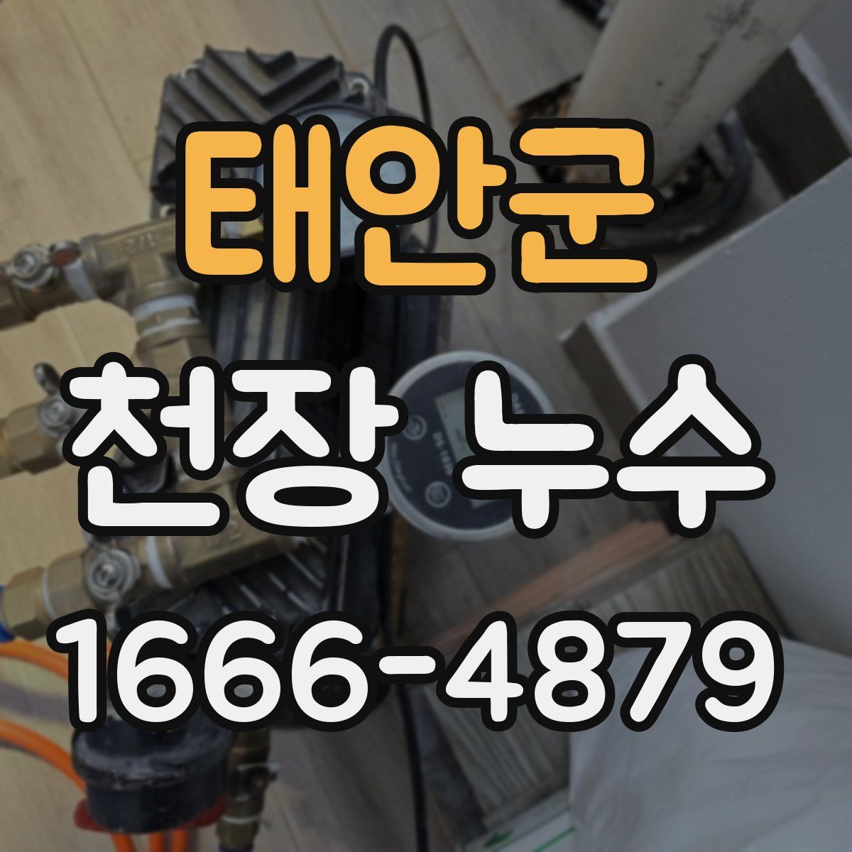 태안군 천장 누수