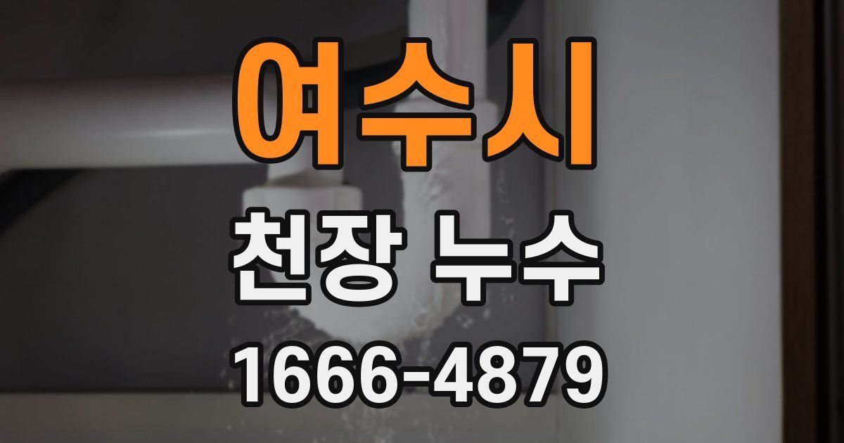 여수시 천장 누수