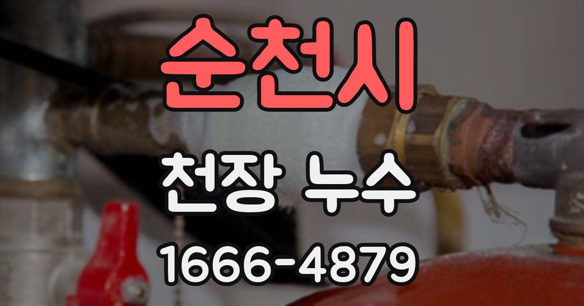 순천시 천장 누수