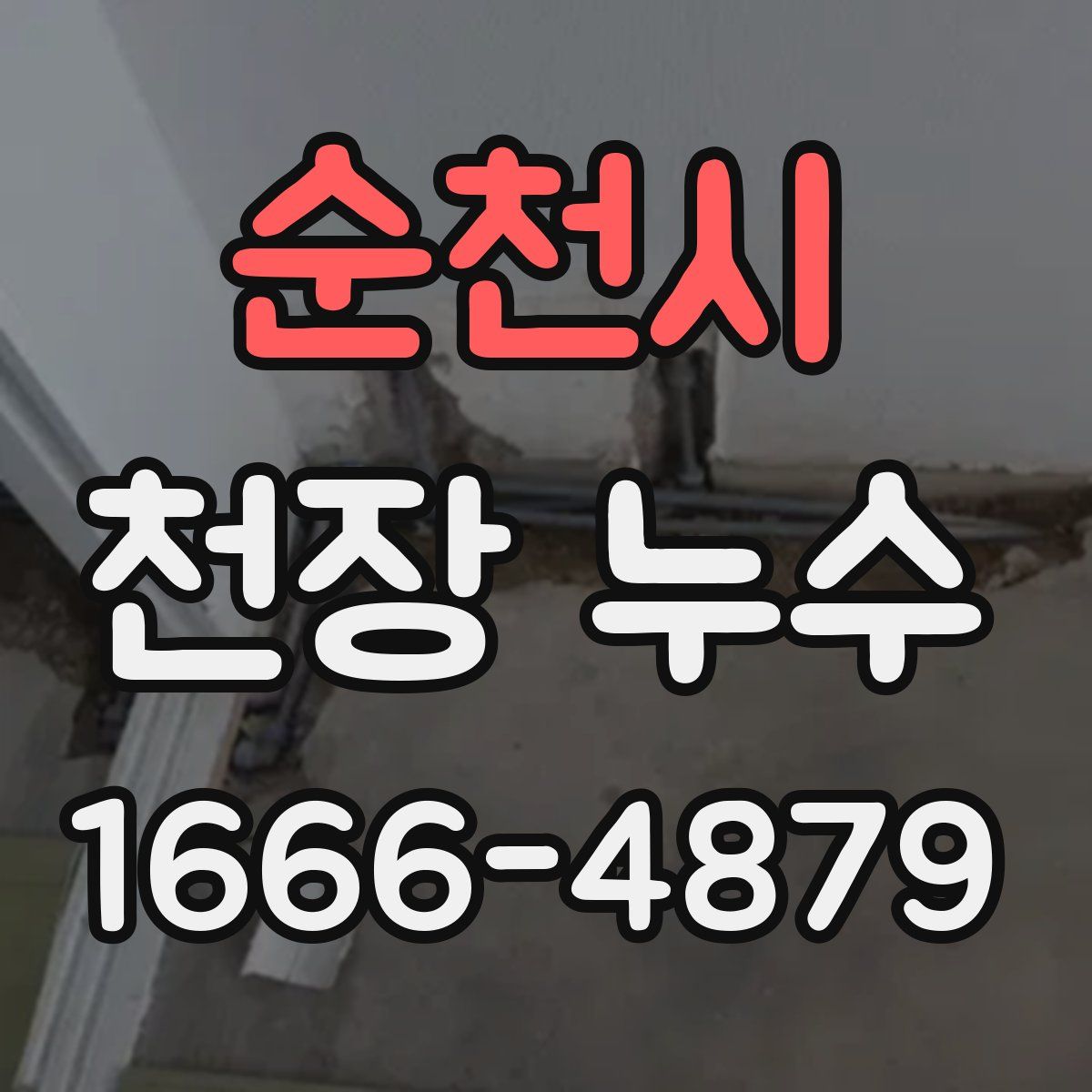 순천시 천장 누수