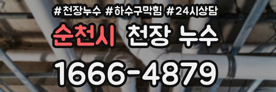 순천시 천장 누수