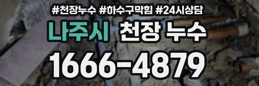 나주시 천장 누수