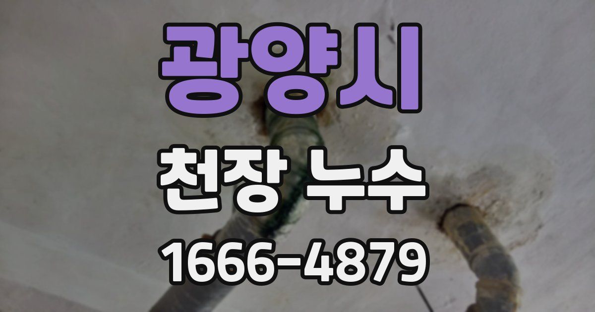 광양시 천장 누수