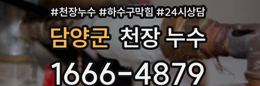 담양군 천장 누수