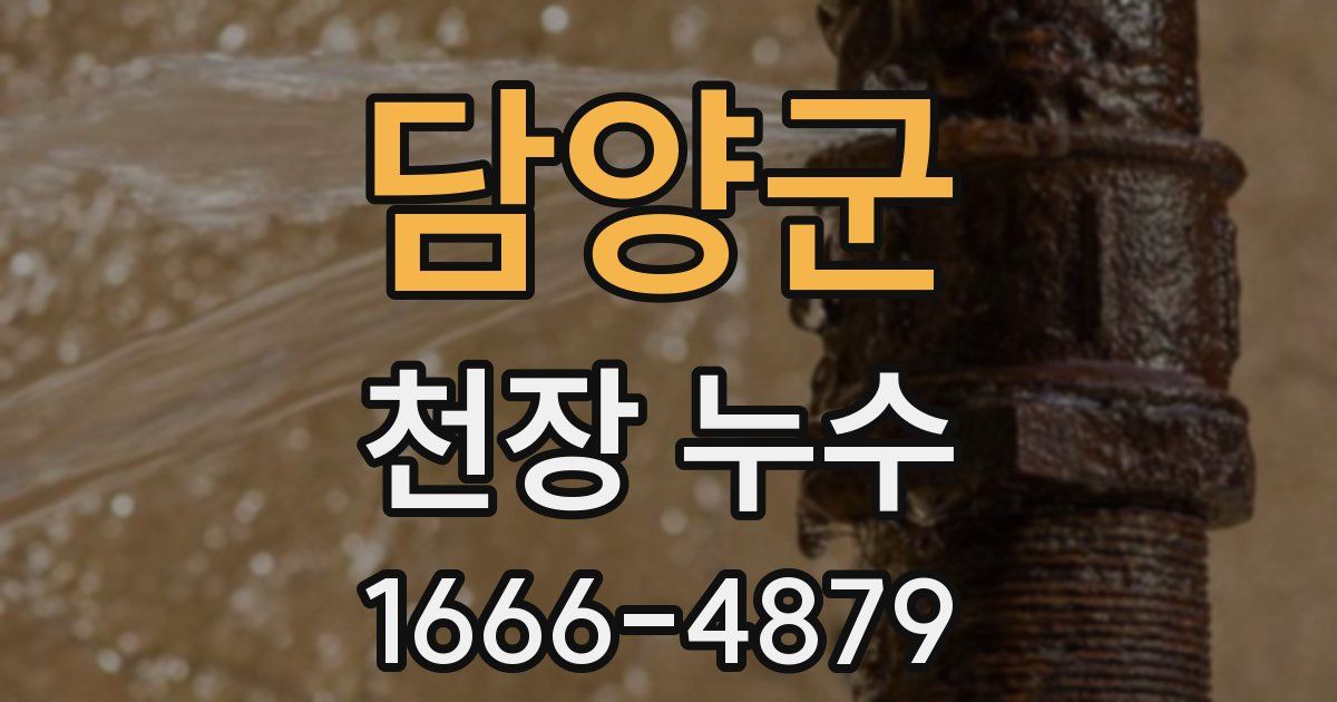 담양군 천장 누수