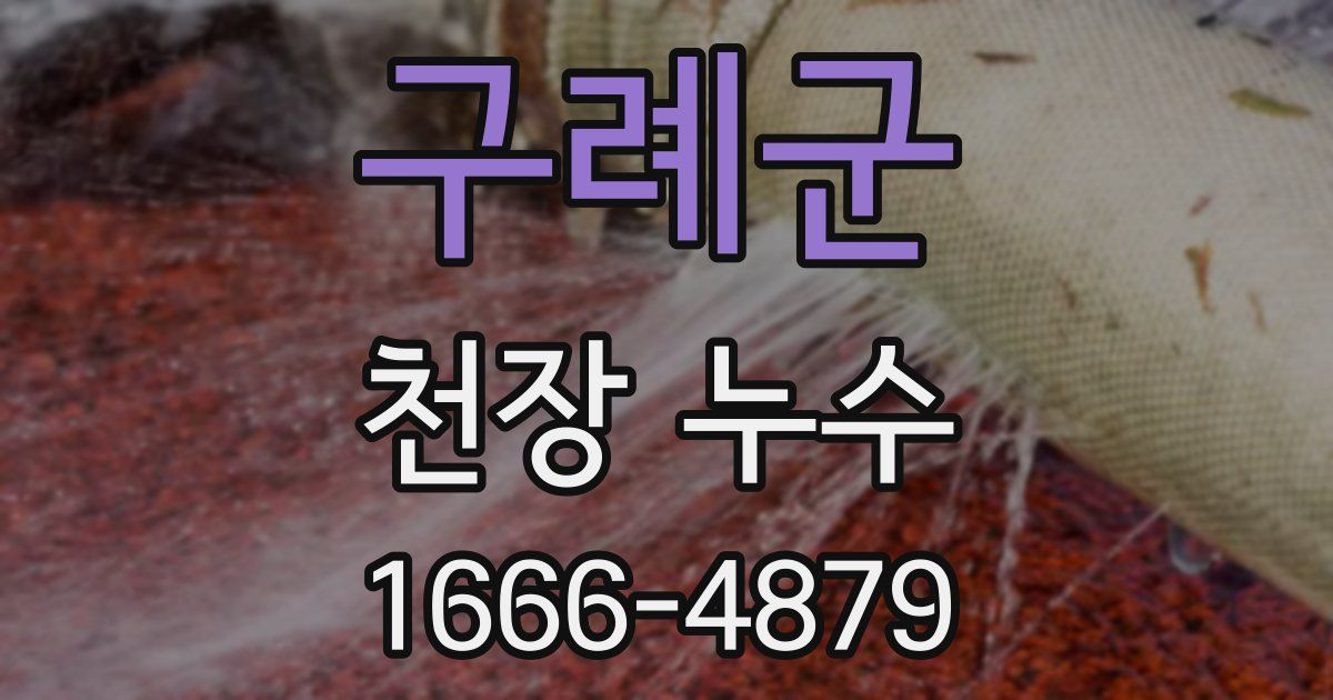 구례군 천장 누수