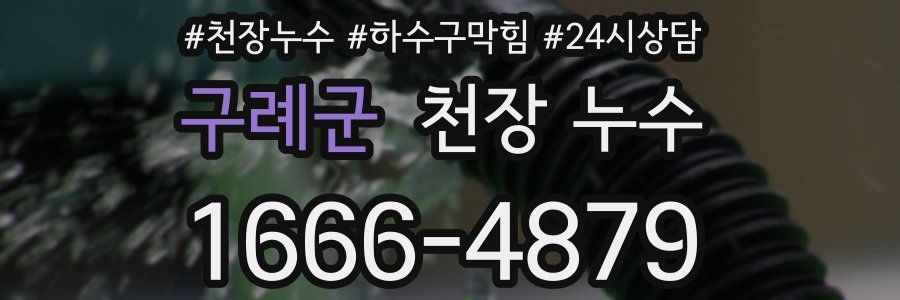 구례군 천장 누수