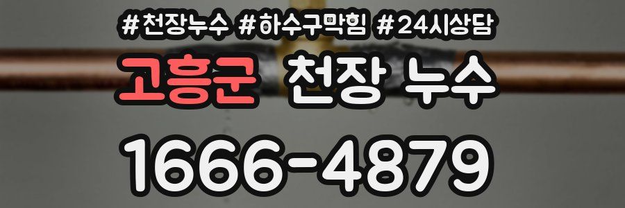 고흥군 천장 누수