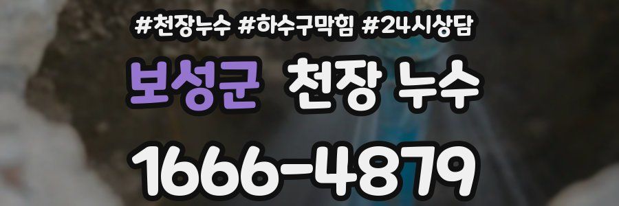 보성군 천장 누수