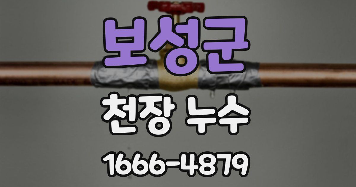 보성군 천장 누수