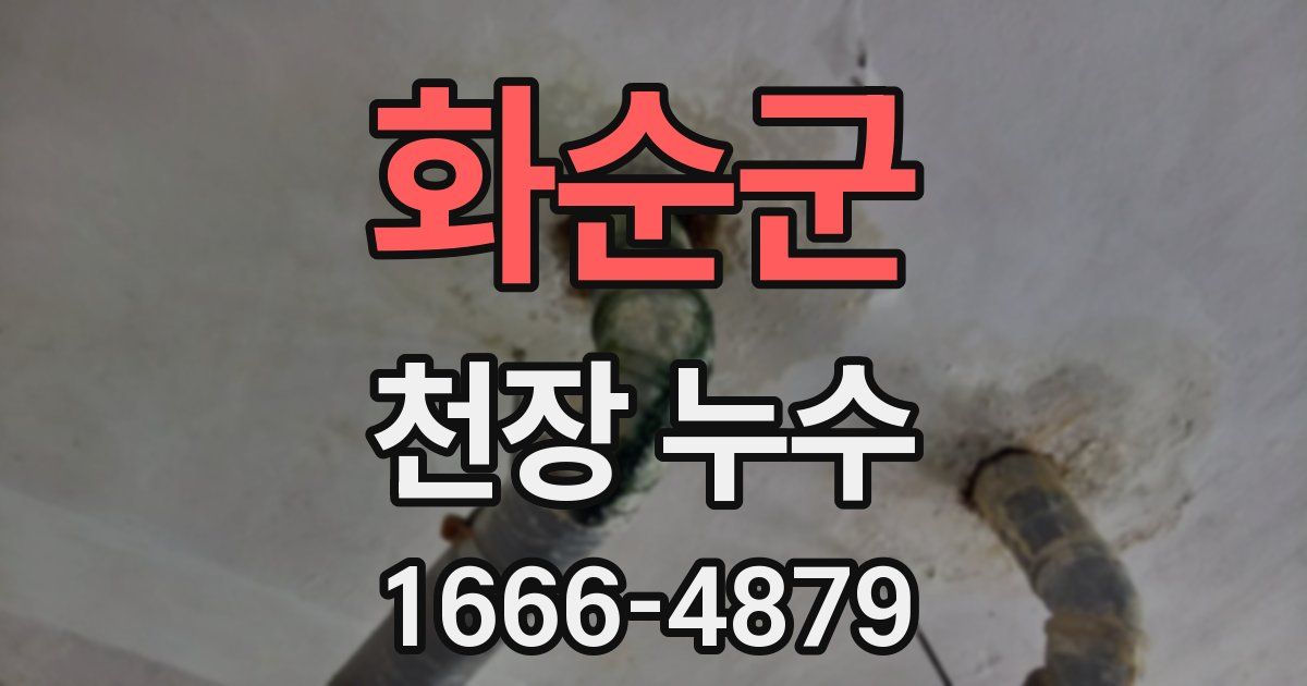 화순군 천장 누수