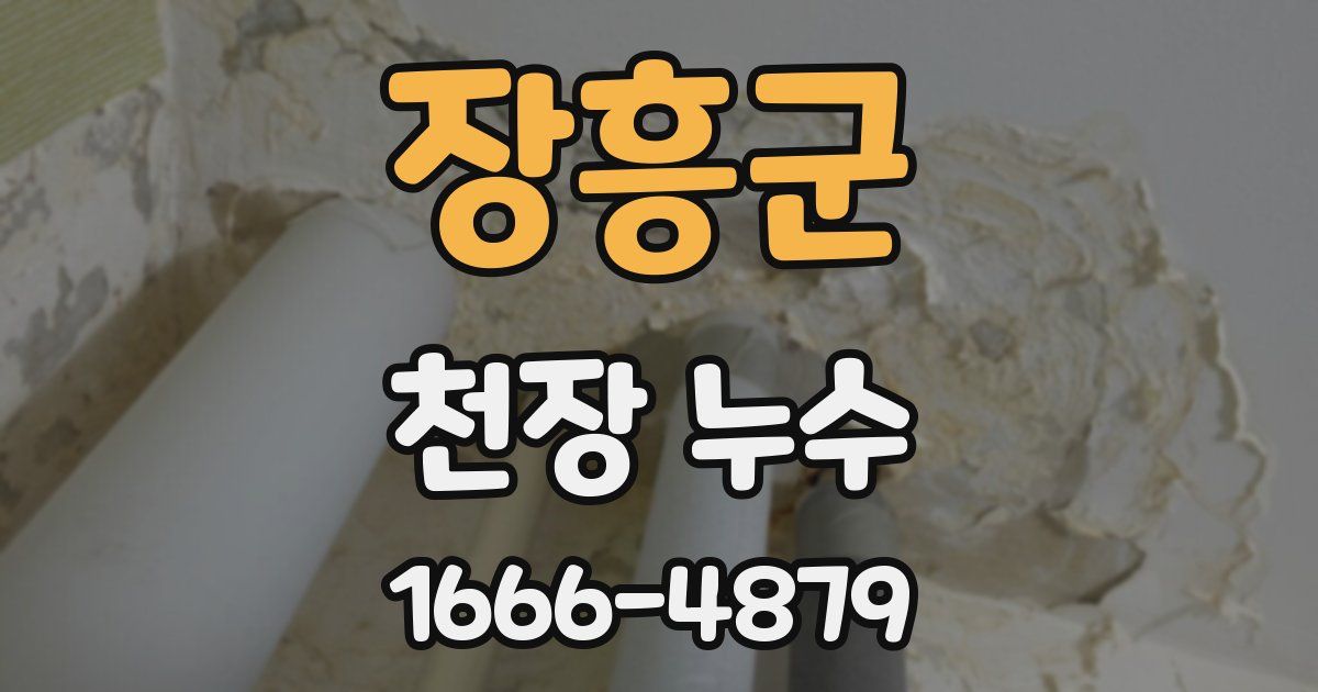 장흥군 천장 누수