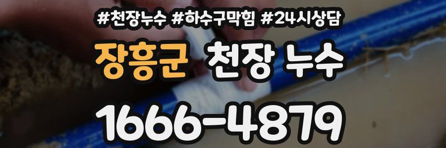 장흥군 천장 누수