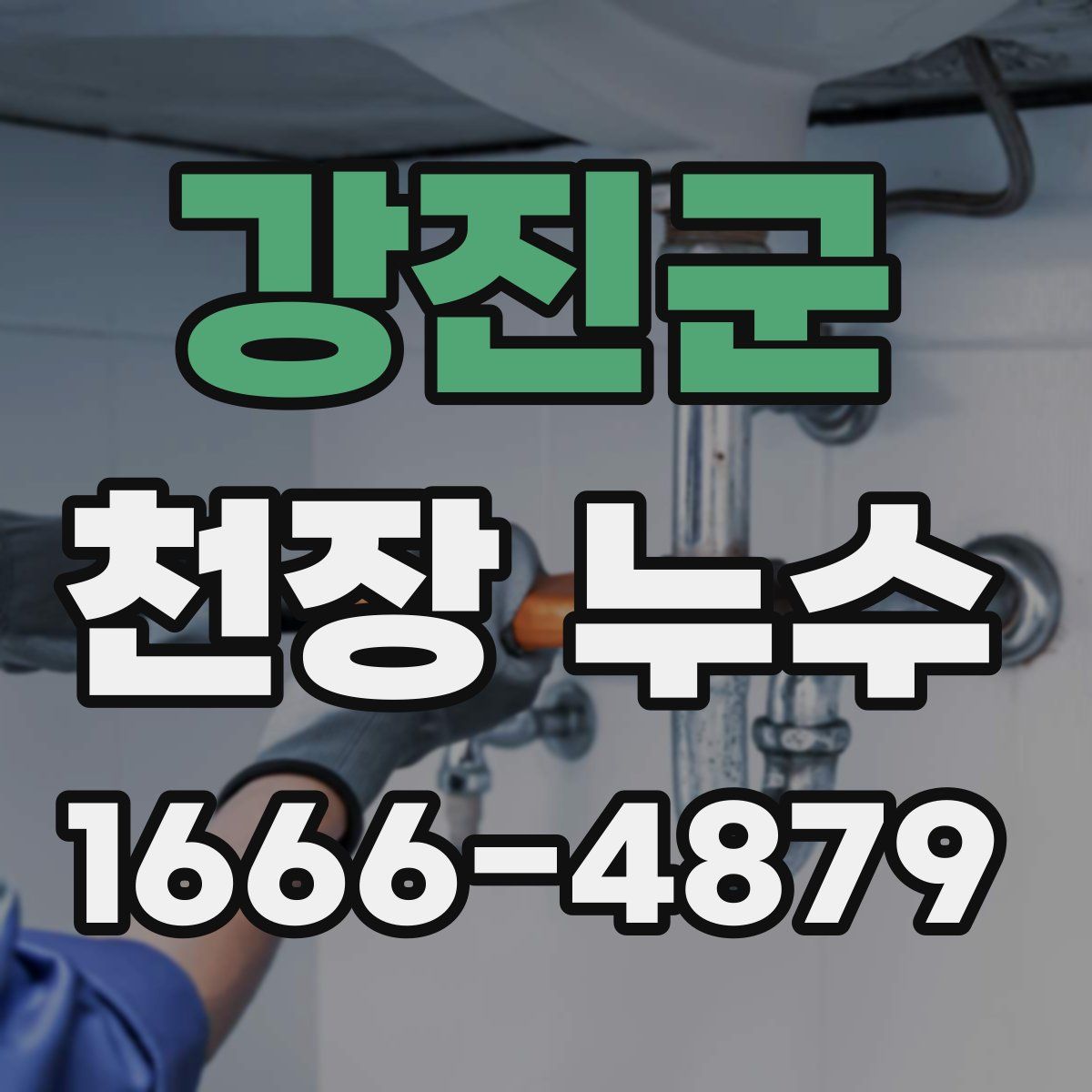 강진군 천장 누수