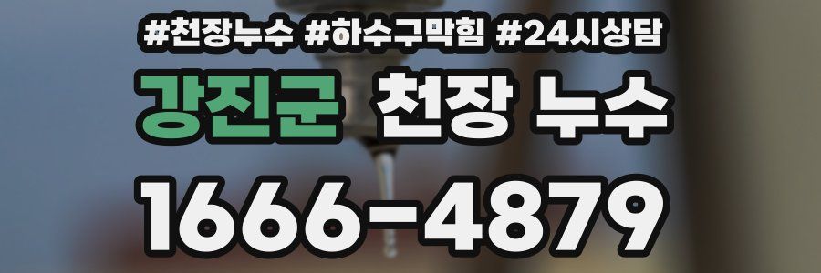 강진군 천장 누수