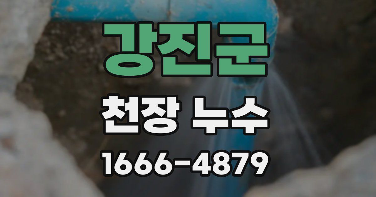 강진군 천장 누수