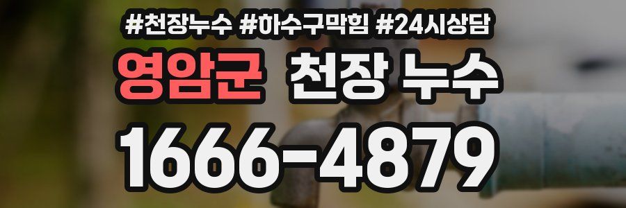 영암군 천장 누수