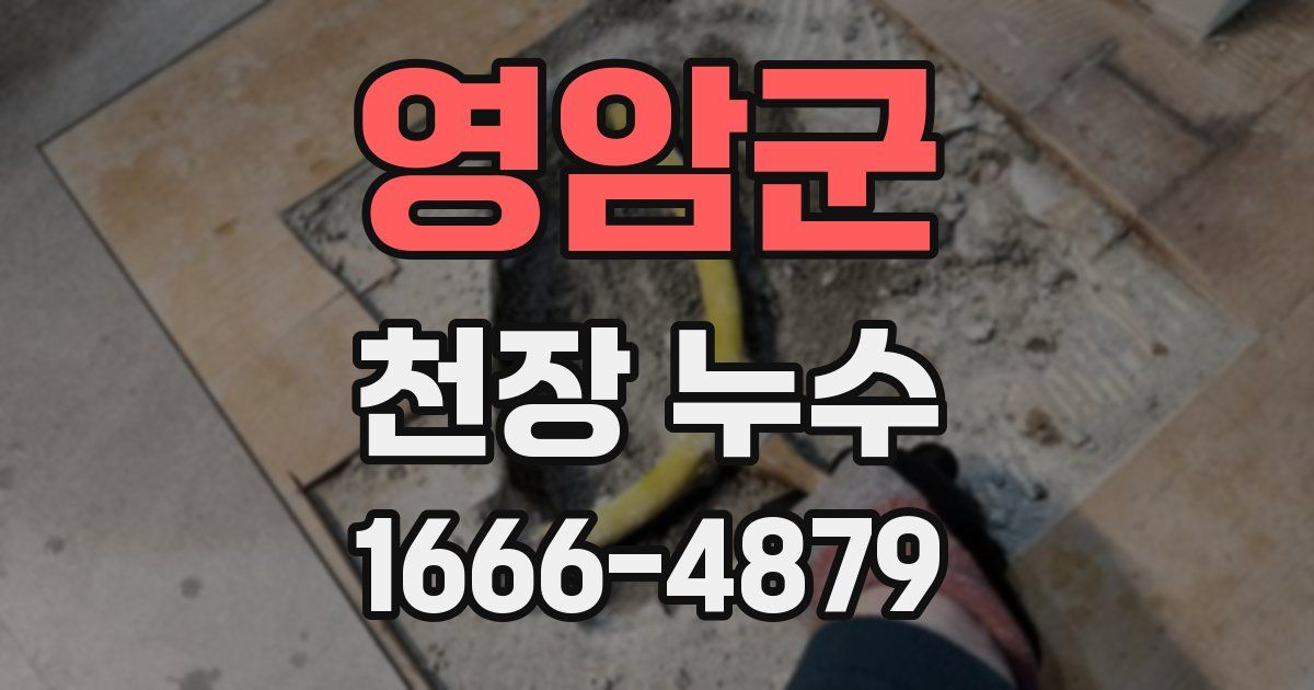 영암군 천장 누수