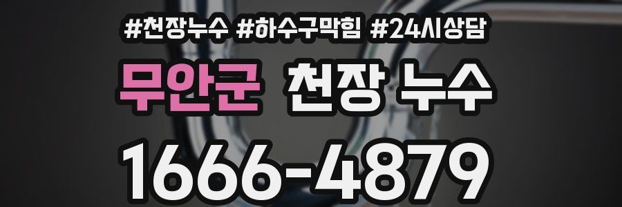 무안군 천장 누수