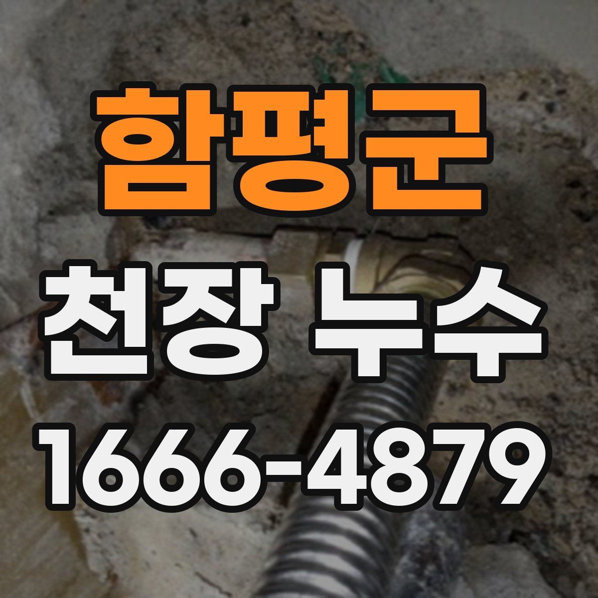 함평군 천장 누수