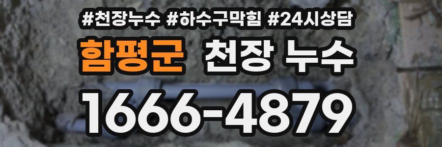 함평군 천장 누수