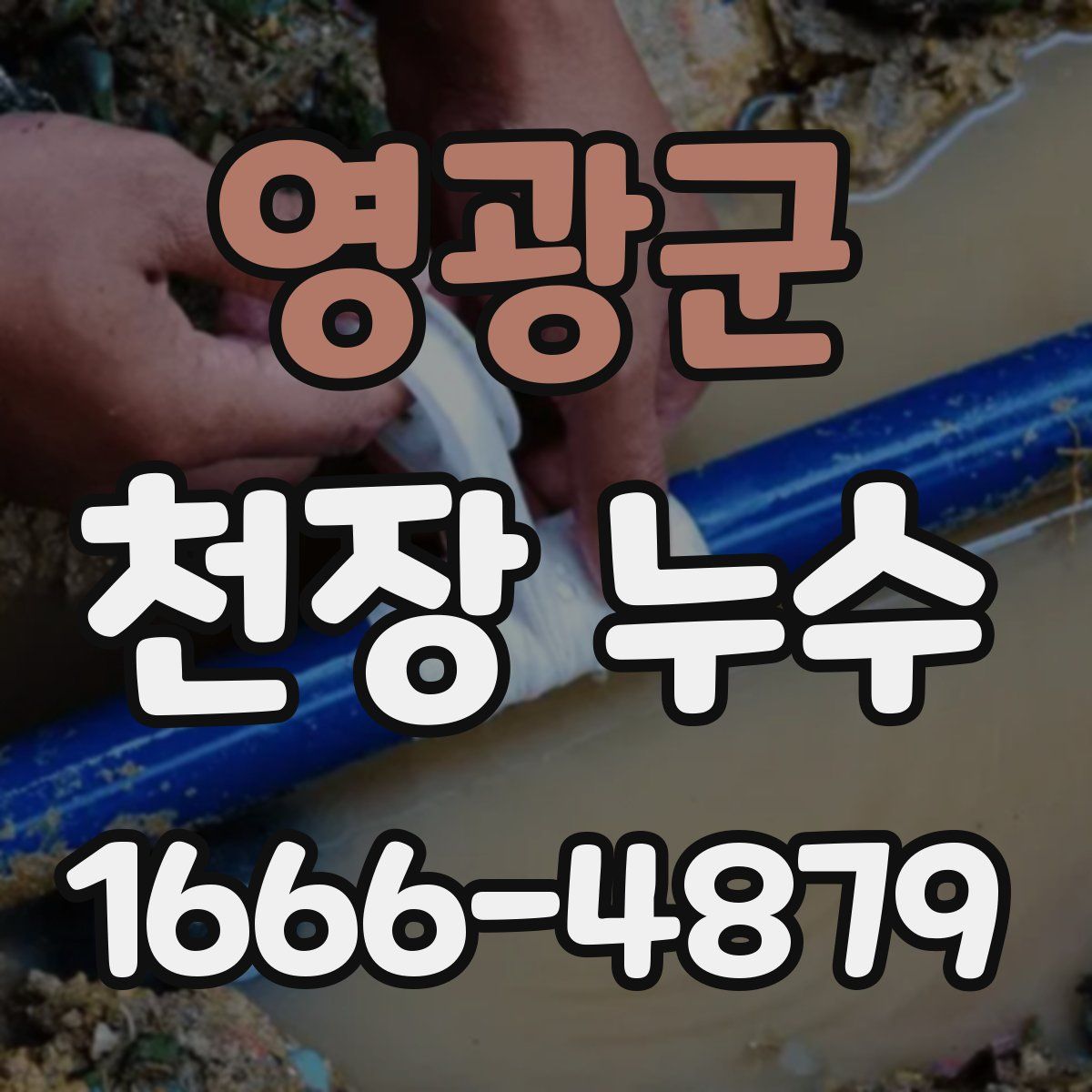 영광군 천장 누수