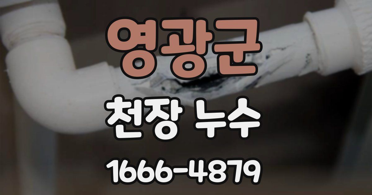 영광군 천장 누수