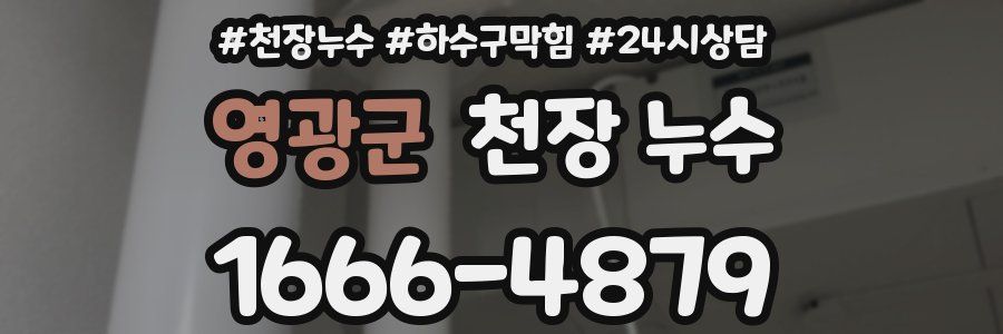 영광군 천장 누수