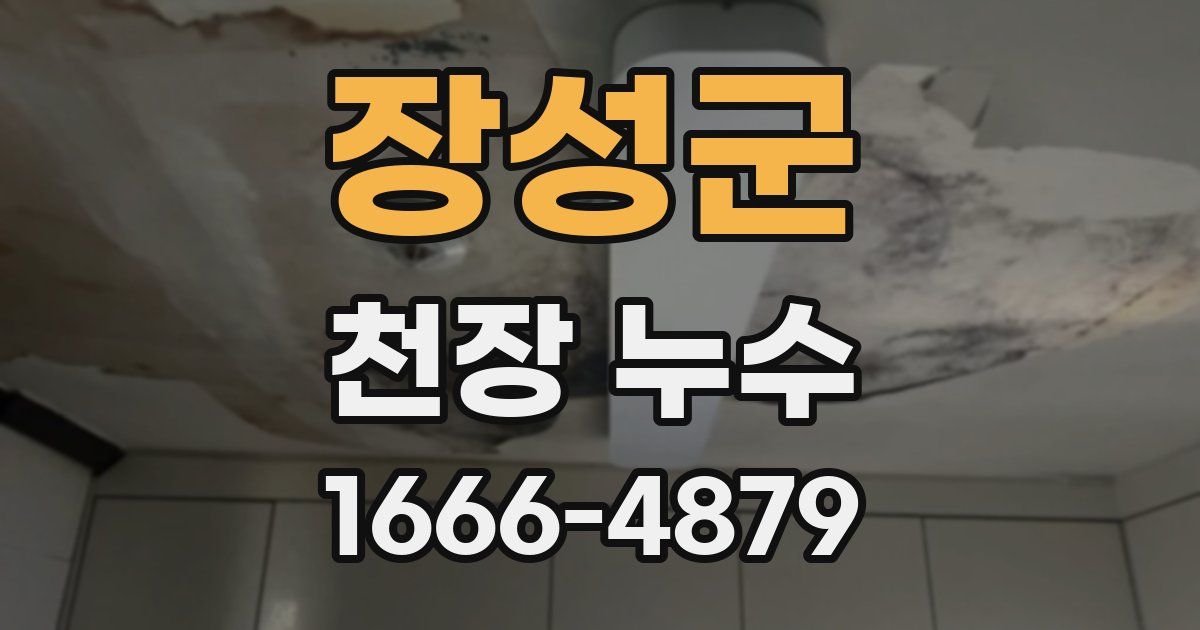 장성군 천장 누수