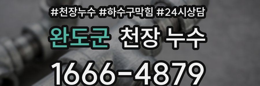 완도군 천장 누수