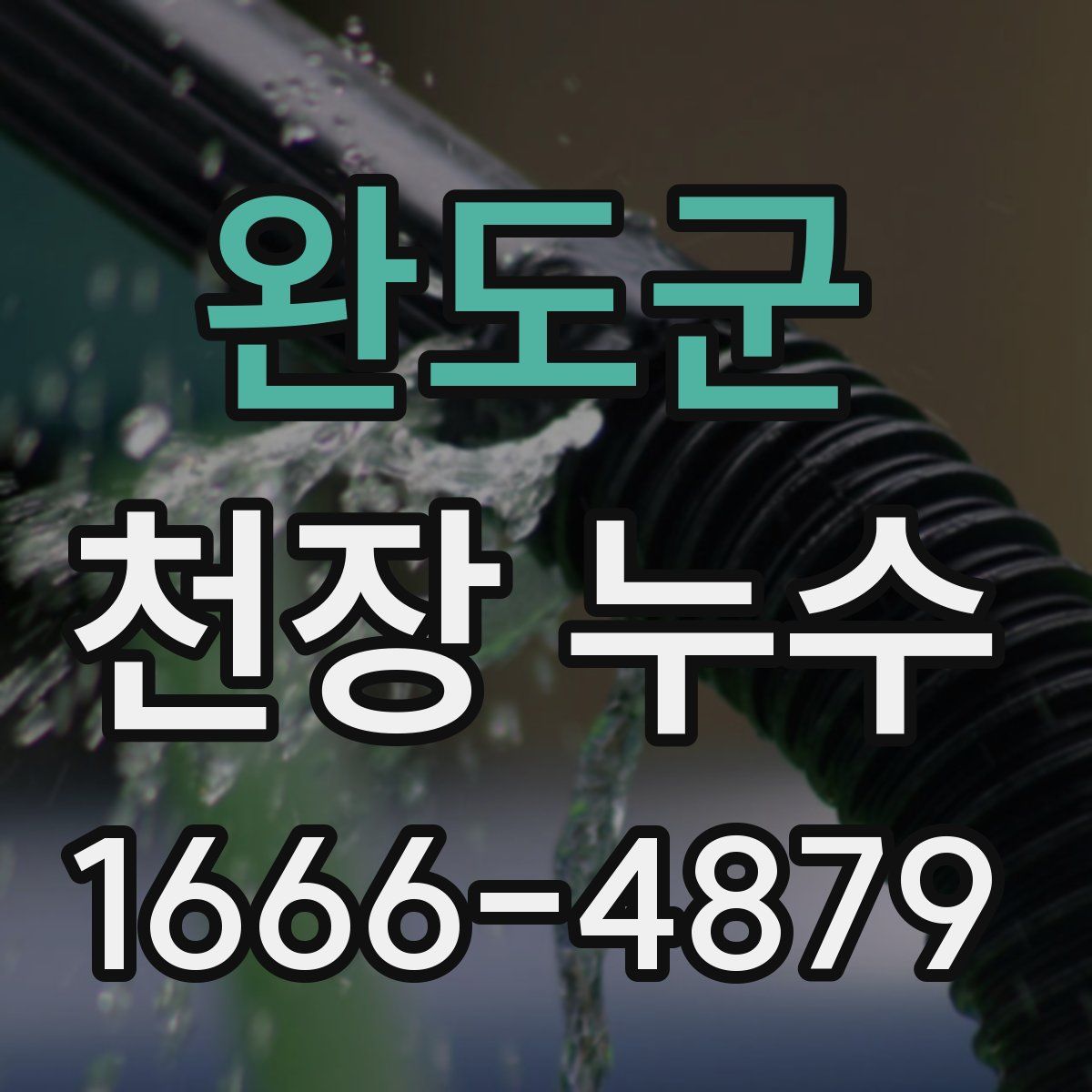 완도군 천장 누수